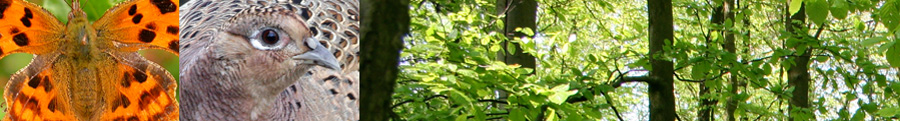 Hertfordshire Natural History Society
