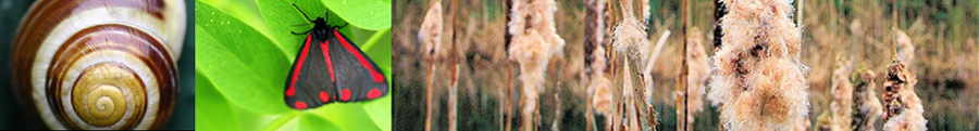 Hertfordshire Natural History Society