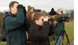 Counting wildfowl at Hilfield Park Reservoir